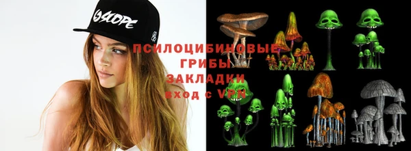 сатива Алексеевка