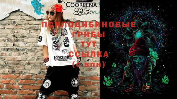 винт Алзамай
