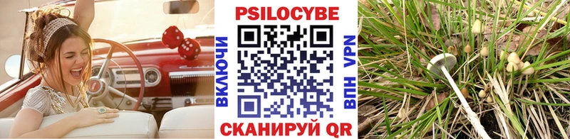Псилоцибиновые грибы мухоморы как найти закладки Бикин